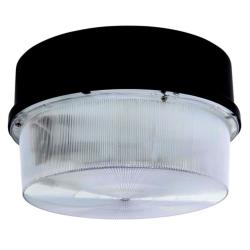 5000K 250W 120-277V 50/60Hz IP65